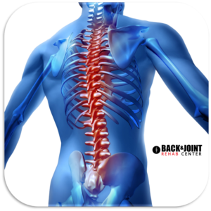 herniated disc, disc herniation, chiropractor, lower back pain, therapy, sciatica, disc bulge, northwest indiana