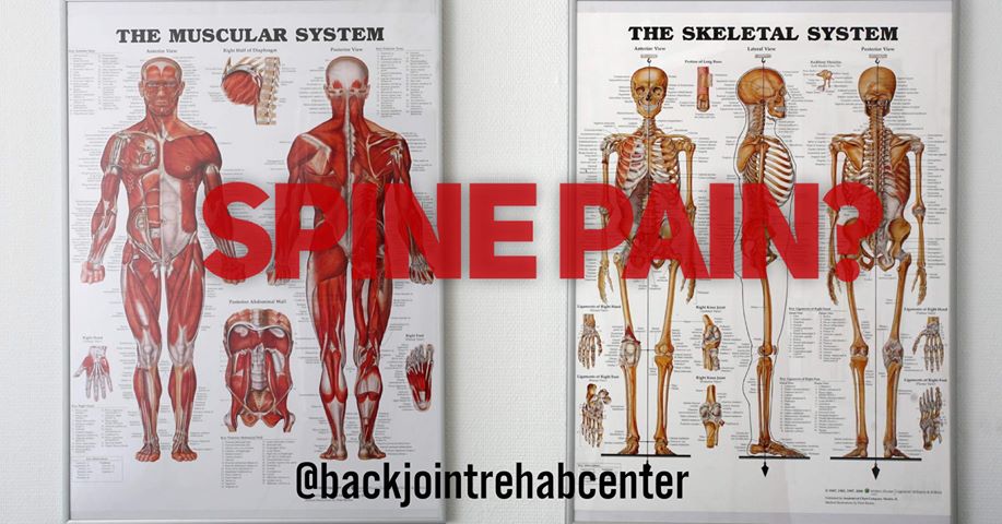 https://backjointcenter.com/wp-content/uploads/2018/08/spine-pain.jpg