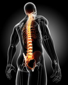 Chiropractic Services St John Indiana