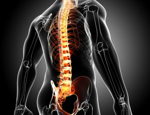 Chiropractic Services in St John Indiana